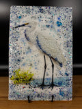 Beach Bird